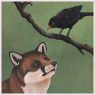 fox and blackbird